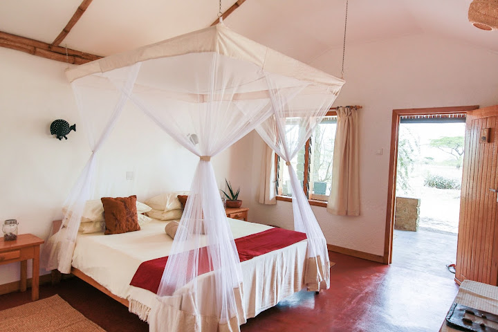Ndutu Safari Lodge by null