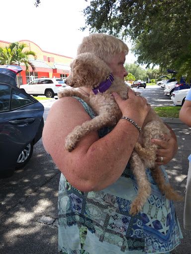 Real Estate Agency «United Real Estate Infinity LLC», reviews and photos, 12220 Towne Lake Dr #30, Fort Myers, FL 33913, USA