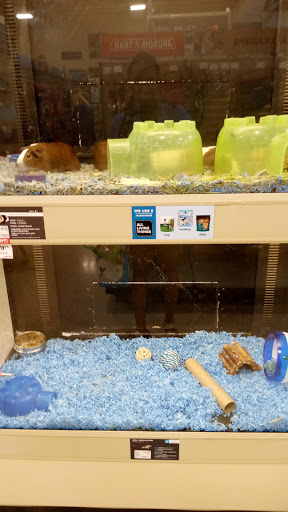 Pet Supply Store «PetSmart», reviews and photos, 901 US-1, North Brunswick Township, NJ 08902, USA
