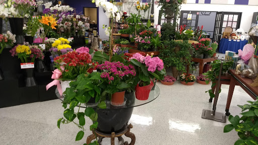 Grocery Store «Rice Epicurean Markets», reviews and photos, 2020 Fountain View Dr, Houston, TX 77057, USA