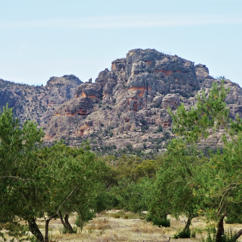 Mount Zero Olives