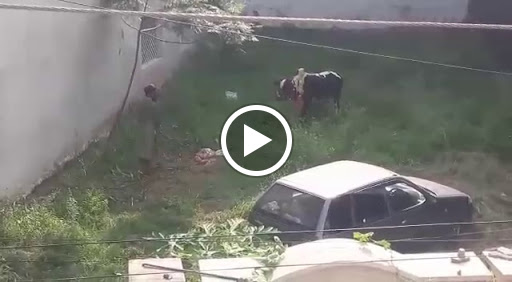 Wedding Planner «A Moment In Time | Jen House Design», reviews and photos, 139 W Liberty St, Plymouth, MI 48170, USA