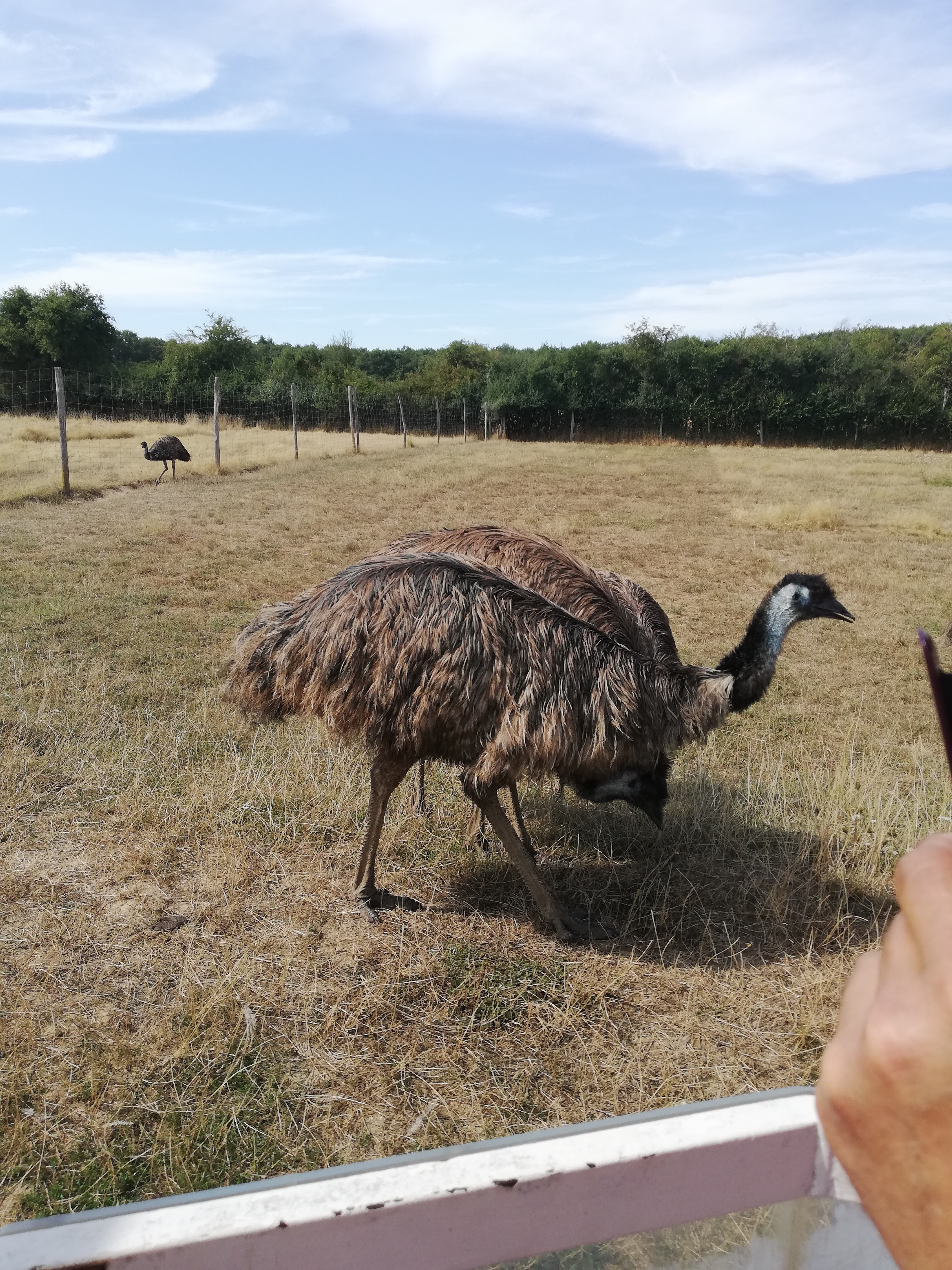 Photo n° 33 de l'avis de Severine.e fait le 23/08/2019 à 23:18