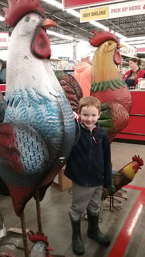 Home Improvement Store «Tractor Supply Co.», reviews and photos, 1650 Denmark Rd, Union, MO 63084, USA