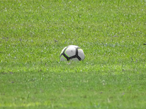 Park «Miramar Regional Park», reviews and photos, 16801 Miramar Pkwy, Miramar, FL 33027, USA