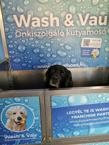 Értékelések erről a helyről: Wash&Vau® önkiszolgáló kutyamosó Dunakeszi, Dunakeszi - Állatorvos