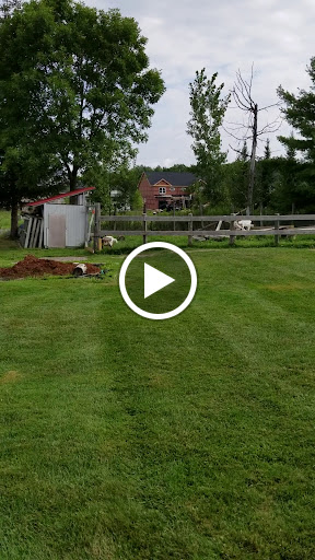 Resort «The Essex Resort & Spa», reviews and photos, 70 Essex Way, Essex Junction, VT 05452, USA