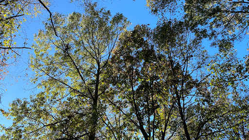 Park «Norumbega Park», reviews and photos, 2285 Commonwealth Avenue, Auburndale, MA 02466, USA