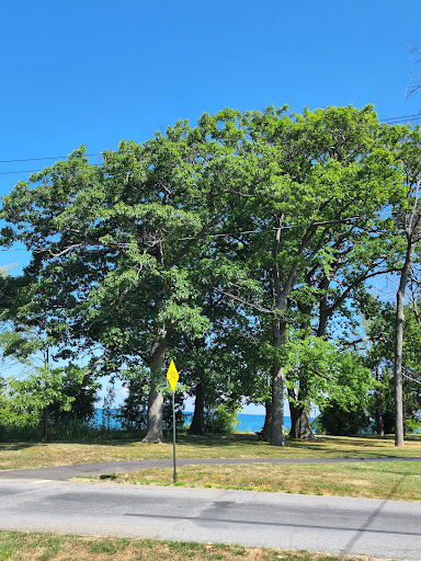 Park «Gratiot Park», reviews and photos, NY-5 & Point Dr W, Dunkirk, NY 14048, USA