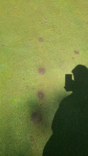 Golf Club «Red Wing Golf Club», reviews and photos, 1311 W 6th St, Red Wing, MN 55066, USA
