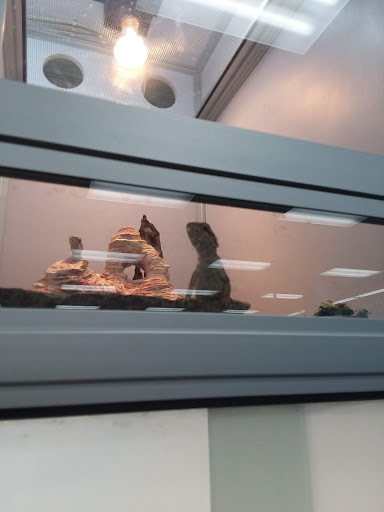 Pet Supply Store «Pet Supermarket», reviews and photos, 4100 N Wickham Rd #117, Melbourne, FL 32935, USA