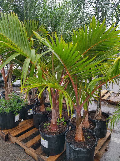 Home Improvement Store «The Home Depot», reviews and photos, 102 Aldi Dr, North Versailles, PA 15137, USA