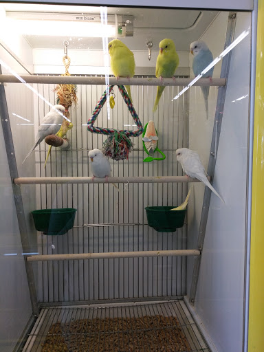 Pet Supply Store «Pet Supplies Plus», reviews and photos, 30450 Lakeshore Blvd, Willowick, OH 44095, USA