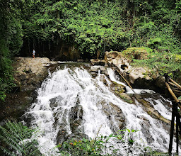 Kemenuh Monkey River photo