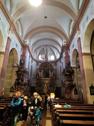 Dominikánský kostel svatého Václava - Kostel