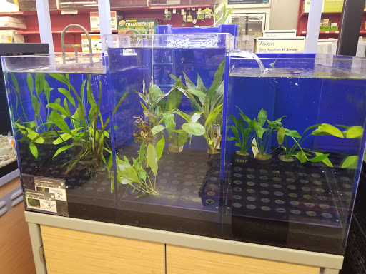 Pet Supply Store «Petco Animal Supplies», reviews and photos, 1009 E Commercial Blvd, Oakland Park, FL 33334, USA