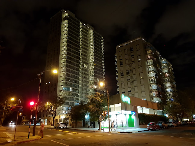 Frog 9 - Montevideo