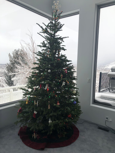 Happy Valley Christmas Trees