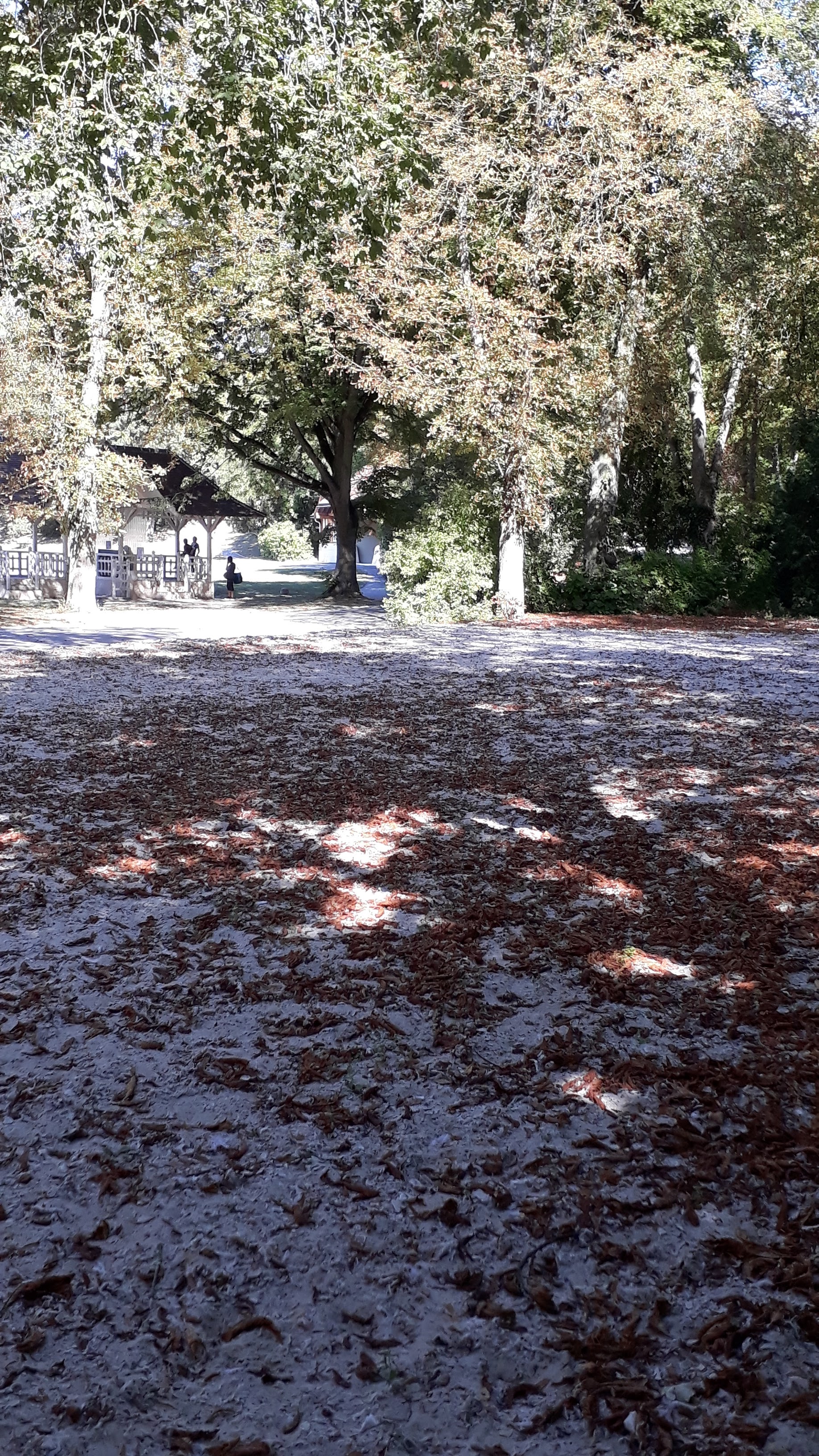 Photo n° 8 de l'avis de Veronique.a fait le 15/09/2019 à 13:59