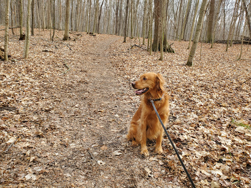 Nature Preserve «Scio Woods Preserve», reviews and photos, Scio Church Rd, Ann Arbor, MI 48103, USA