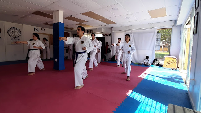 Academia de Karate Do Shorin ryu Seibukan Chile - Maipú