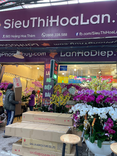 Siêu Thị Hoa Lan Hồ Điệp Hà Nội