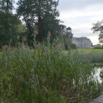 Photo n°11 de l'avis de Heiko.r fait le 27/09/2023 à 18:02 sur le  Schloss Kaarz mit Park à Weitendorf