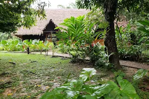 Ecolucerna Lodge image