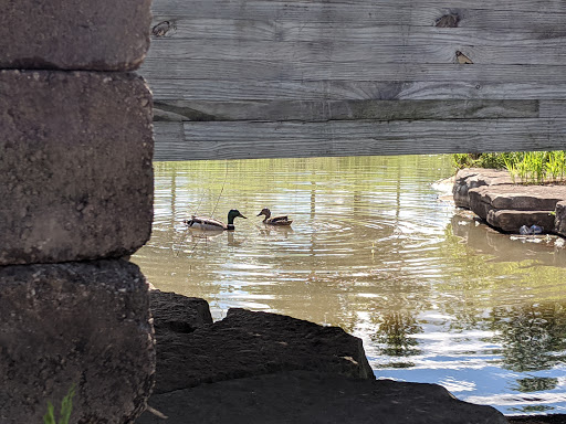 Park «Vogelei Park & Barn», reviews and photos, 650 W Higgins Rd, Hoffman Estates, IL 60169, USA