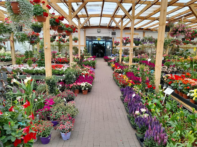 Comentarii opinii despre Centrum Ogrodnicze STIHL Grębocin.Autoryzowany Dealer firmy STIHL.