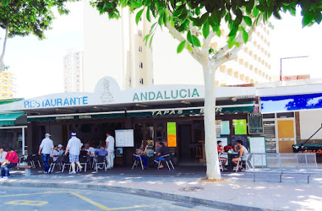 Restaurante Andalucia / Tapas Bar Avinguda de l'Olivera, 8, 07181 Magaluf, Illes Balears, España