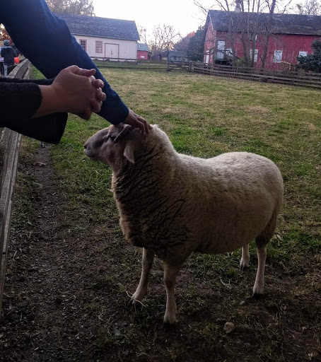 History Museum «Living History Farms», reviews and photos, 11121 Hickman Rd, Urbandale, IA 50322, USA
