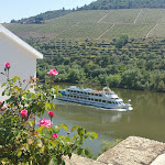 Photo n°26 de l'avis de Candida.a fait le 14/06/2018 à 21:30 sur le  Restaurante Calça Curta à Castanheiro