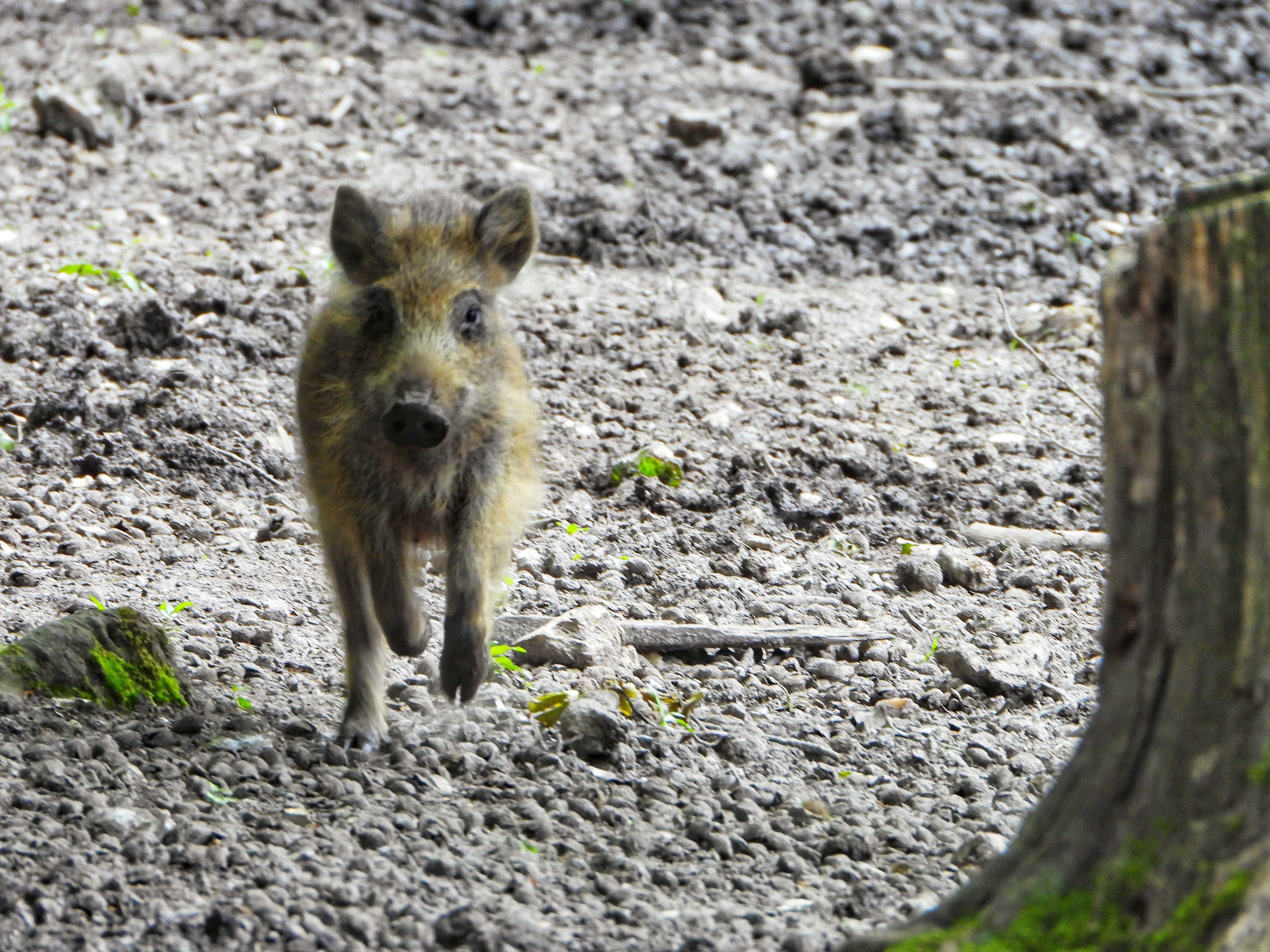 Photo n° 2 de l'avis de Mathias.e fait le 19/06/2019 à 08:05