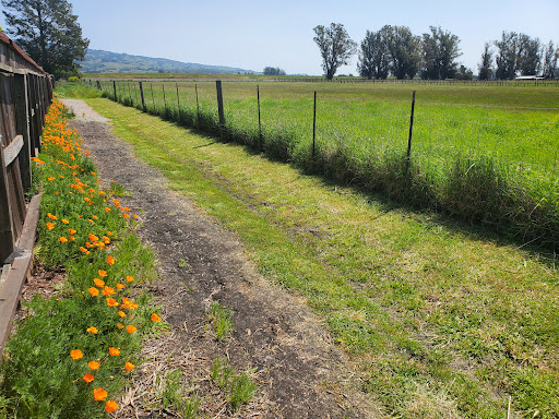 Laguna de Santa Rosa Trail – Trail S