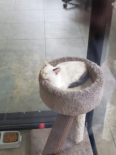 Animal Shelter «Dubuque Regional Humane Society», reviews and photos, 4242 Chavenelle Rd, Dubuque, IA 52002, USA