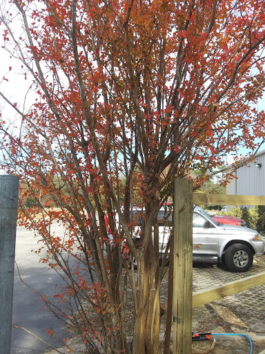 Dollar Store «FAMILY DOLLAR», reviews and photos, 700 Shipyard Blvd, Wilmington, NC 28412, USA