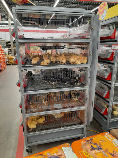 Home Improvement Store «Tractor Supply Co.», reviews and photos, 706 NY-13, Cortland, NY 13045, USA