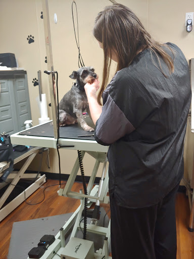 Pet Store «Pet Valu», reviews and photos, 1729 Quentin Rd, Lebanon, PA 17042, USA