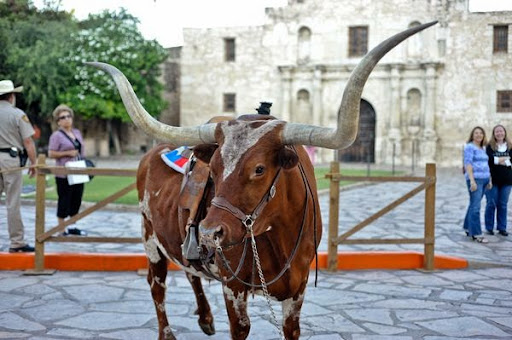 Park «Olmos Basin», reviews and photos, 651 Devine Rd, San Antonio, TX 78209, USA