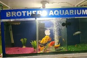 Brothers Aquarium N Pet image