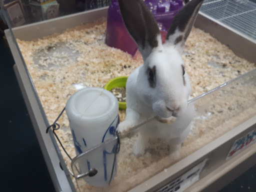 Pet Supply Store «Family Pet Store», reviews and photos, 38 Starrett Dr, Belfast, ME 04915, USA