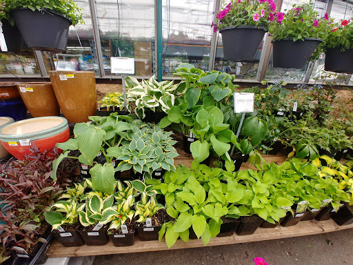 Hardware Store «NORTH BEND ACE HARDWARE», reviews and photos, 330 Main Ave S, North Bend, WA 98045, USA