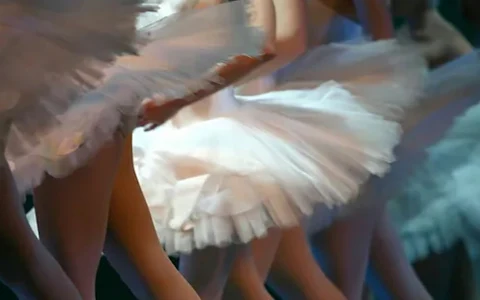 Baldovin Ballet Zagreb image