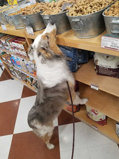 Pet Supply Store «Brown Dog Bakery», reviews and photos, 2310 SE Delaware Ave, Ankeny, IA 50021, USA