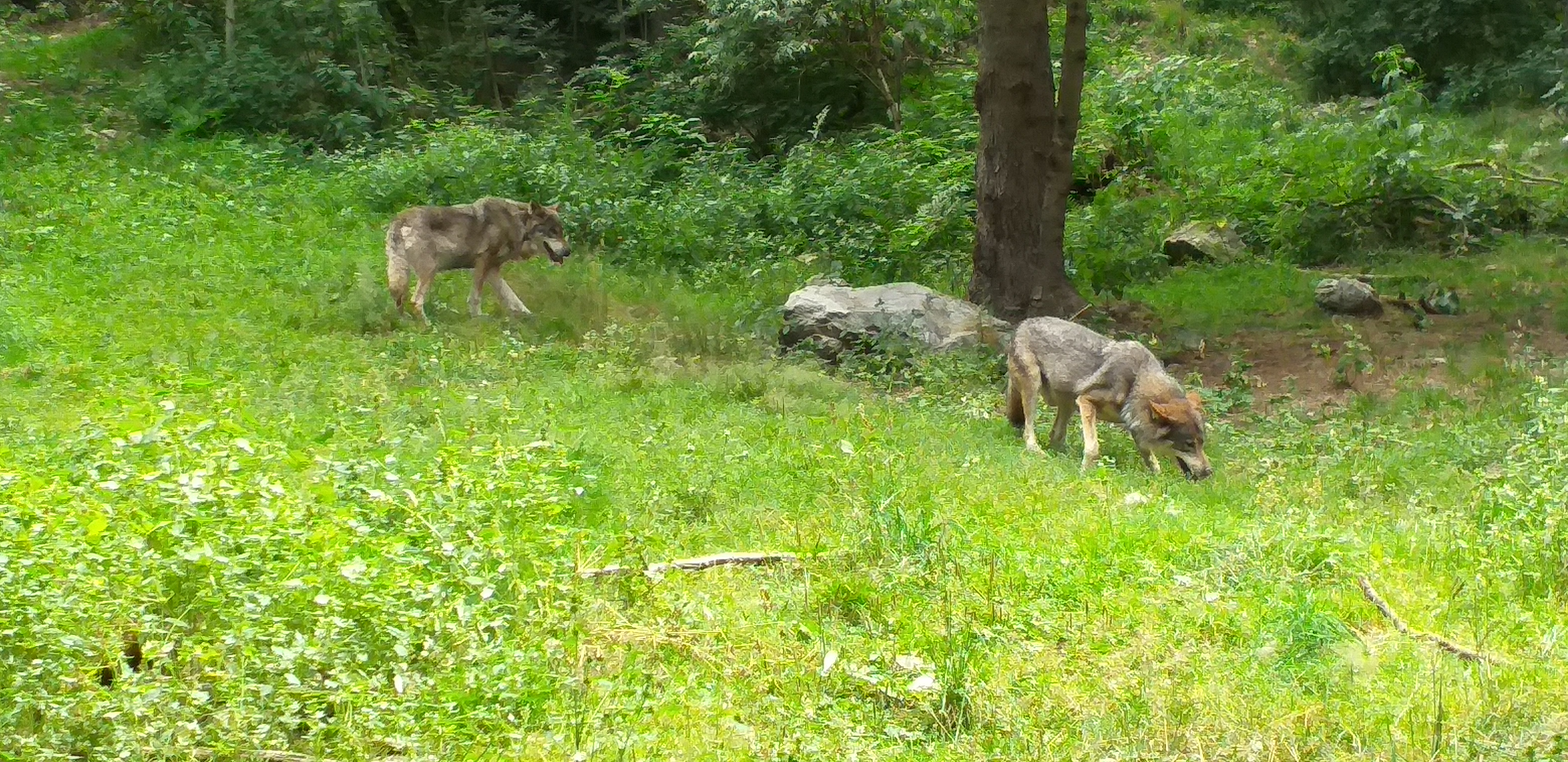 Photo n° 4 de l'avis de medhy.u fait le 20/08/2019 à 14:40