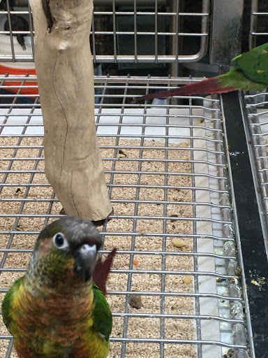 Pet Store «Pets World», reviews and photos, 147 Bridge St, Weymouth, MA 02191, USA