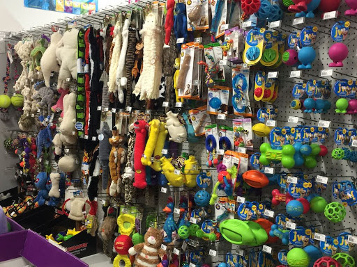 Pet Supply Store «Pet Country», reviews and photos, 6830 U.S. 9, Rhinebeck, NY 12572, USA
