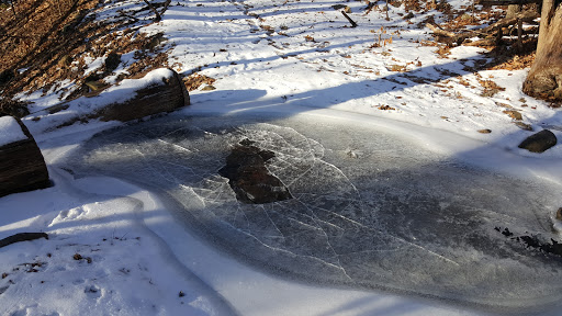 Nature Preserve «Ragged Mountain Memorial Preserve», reviews and photos, 240 Kensington Rd, Berlin, CT 06037, USA