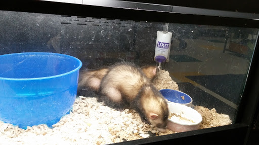 Pet Supply Store «Pet Supplies Plus», reviews and photos, 1510 Scranton Carbondale Hwy, Scranton, PA 18508, USA